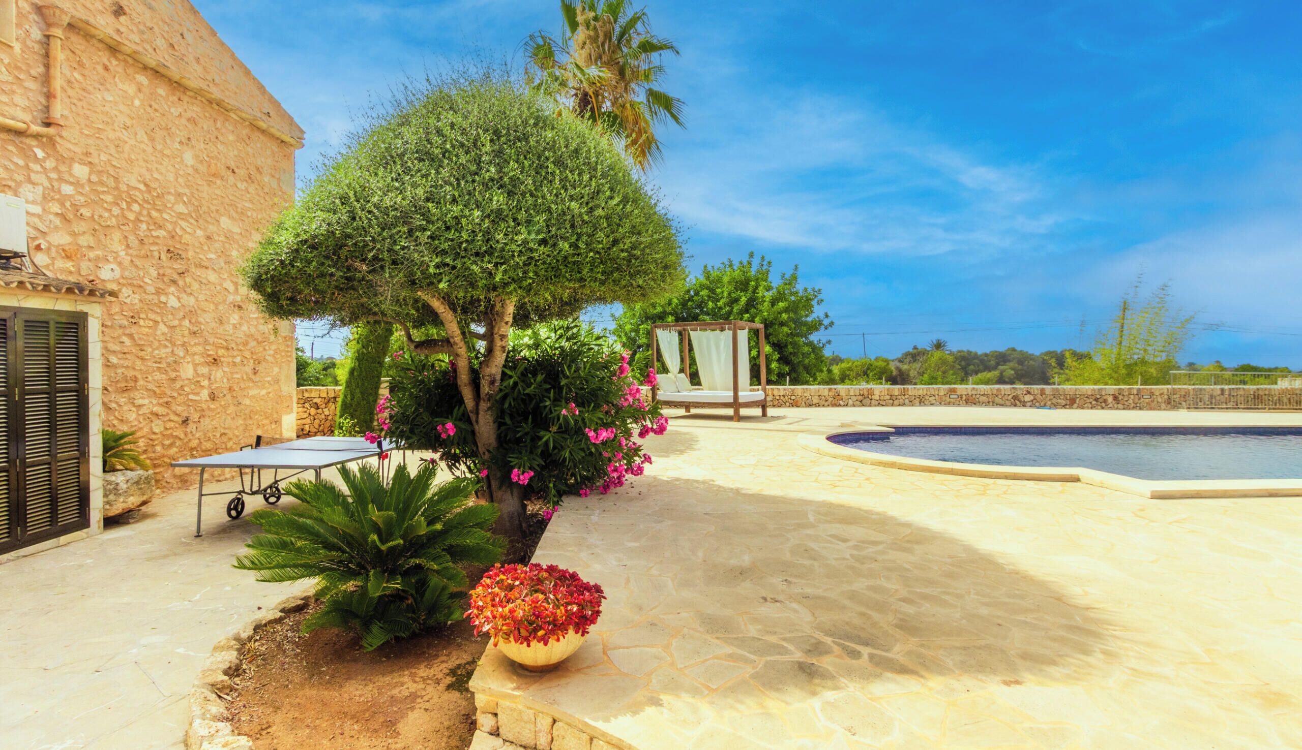 A pool area with a pergola, a palm tree, and a stone wall.