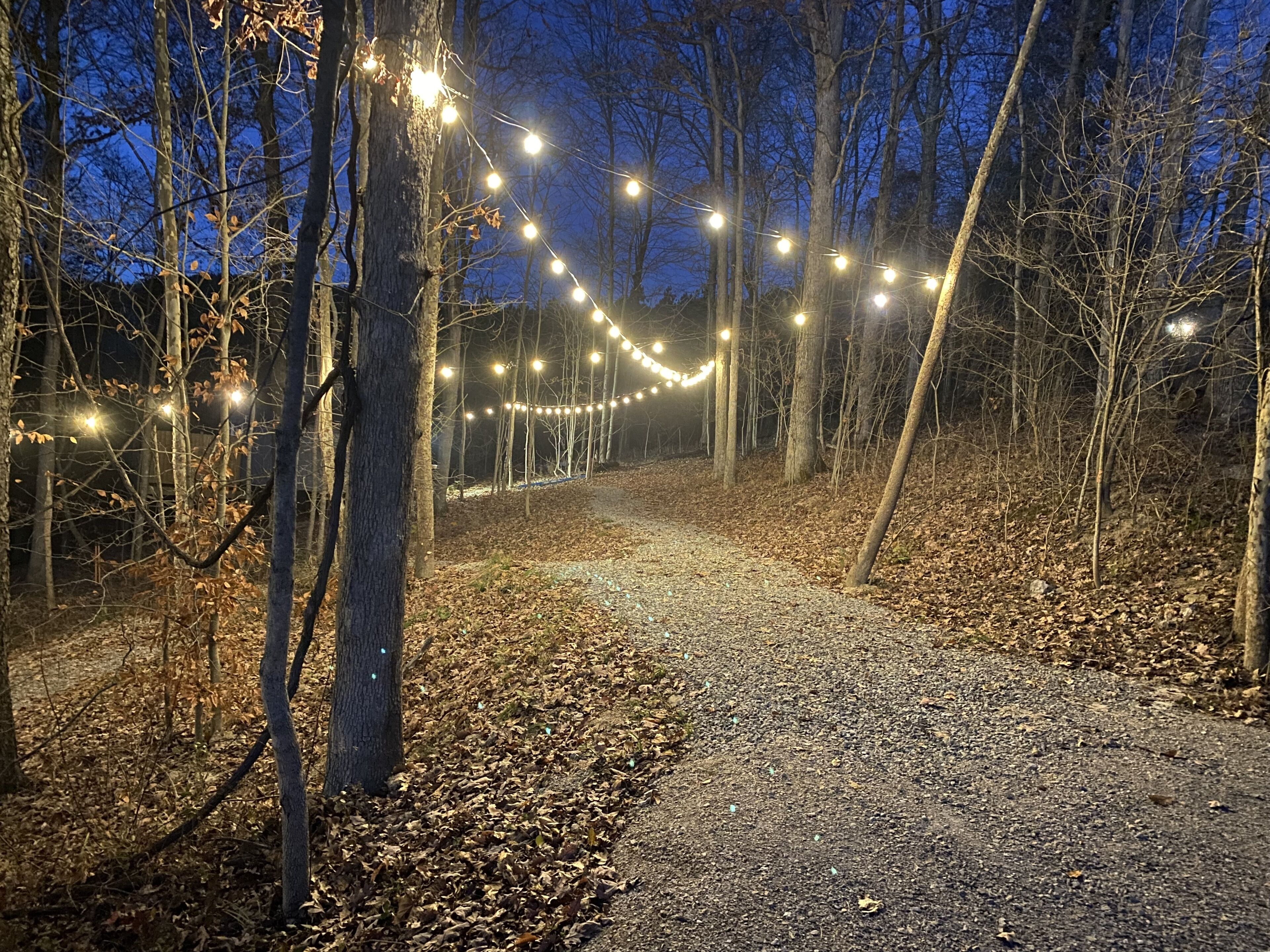 Un sentier de gravier dans une forêt, illuminé de guirlandes lumineuses.