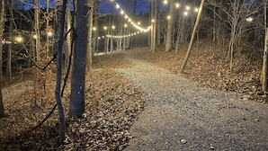 Ein Kiesweg in einem Wald, beleuchtet mit Lichterketten.
