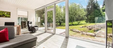 تلفزيون، مدفأة، مشغل دي في دي