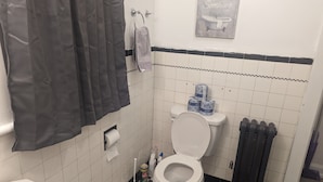 Ein Badezimmer mit Toilette, Badewanne und Dusche. Toilettenpapier und Reinigungsmittel sind sichtbar.