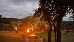 A circular outdoor seating area with a fire pit in the center, surrounded by trees and a grassy field.
