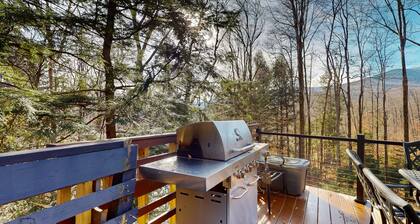 Dog-friendly forest home on 2.6 acres with hot tub, EV charger & woodstove