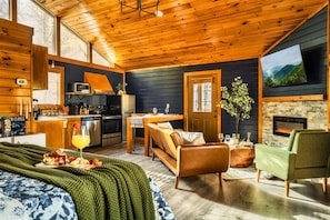 Smart TV, fireplace, video library