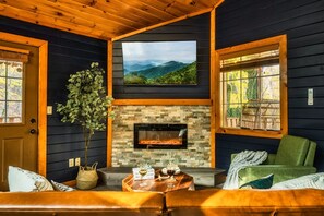 Smart TV, fireplace, video library