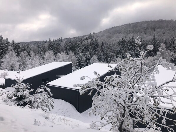 Un edificio con techo nevado y una colina boscosa al fondo.