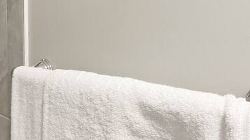 Secadora de cabello, jabón, shampoo, papel de baño