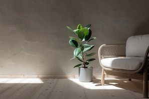 Una planta en maceta en una esquina con una silla de mimbre.