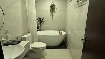 Hair dryer, bidet, towels, soap
