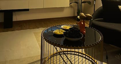 Căn hộ cao cấp cho thuê theo ngày - giờ - tuần tại trung tâm TP Bắc Ninh