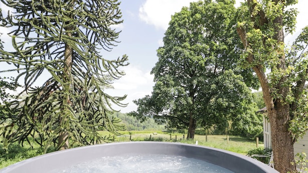 A hot tub surrounded by lush greenery and trees. - Pentre Hall (Oswestry)