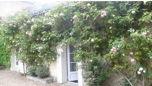 Demeure de Famille Piscine Tours Amboise Blois