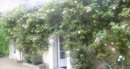 Demeure de Famille Piscine Tours Amboise Blois