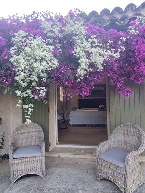 Terras
