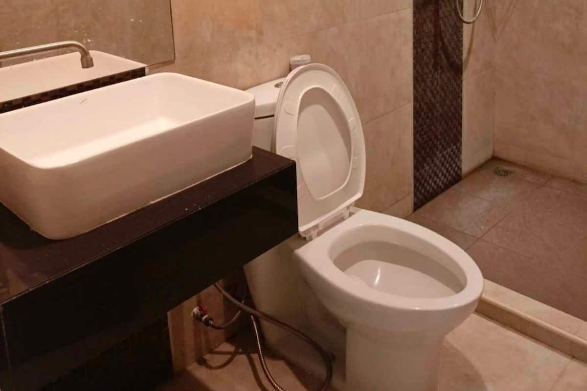 Shower, hydromassage showerhead, hair dryer, toilet paper