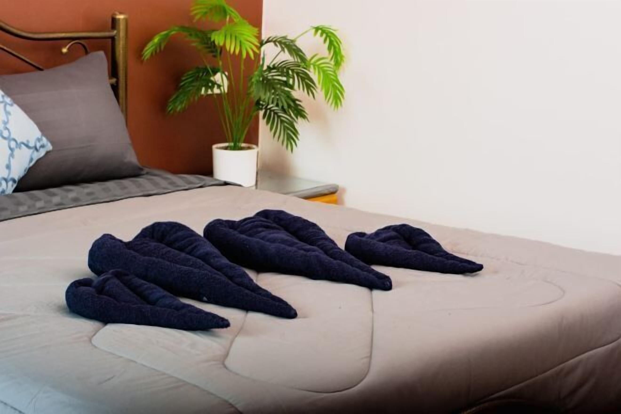 Roupas de cama antialérgicas