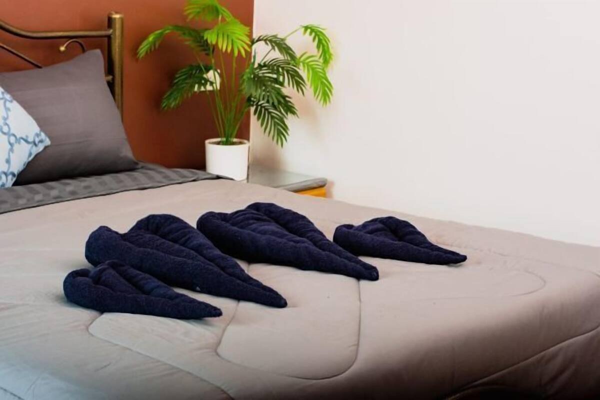 Roupas de cama antialérgicas