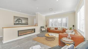 Smart TV, fireplace, books