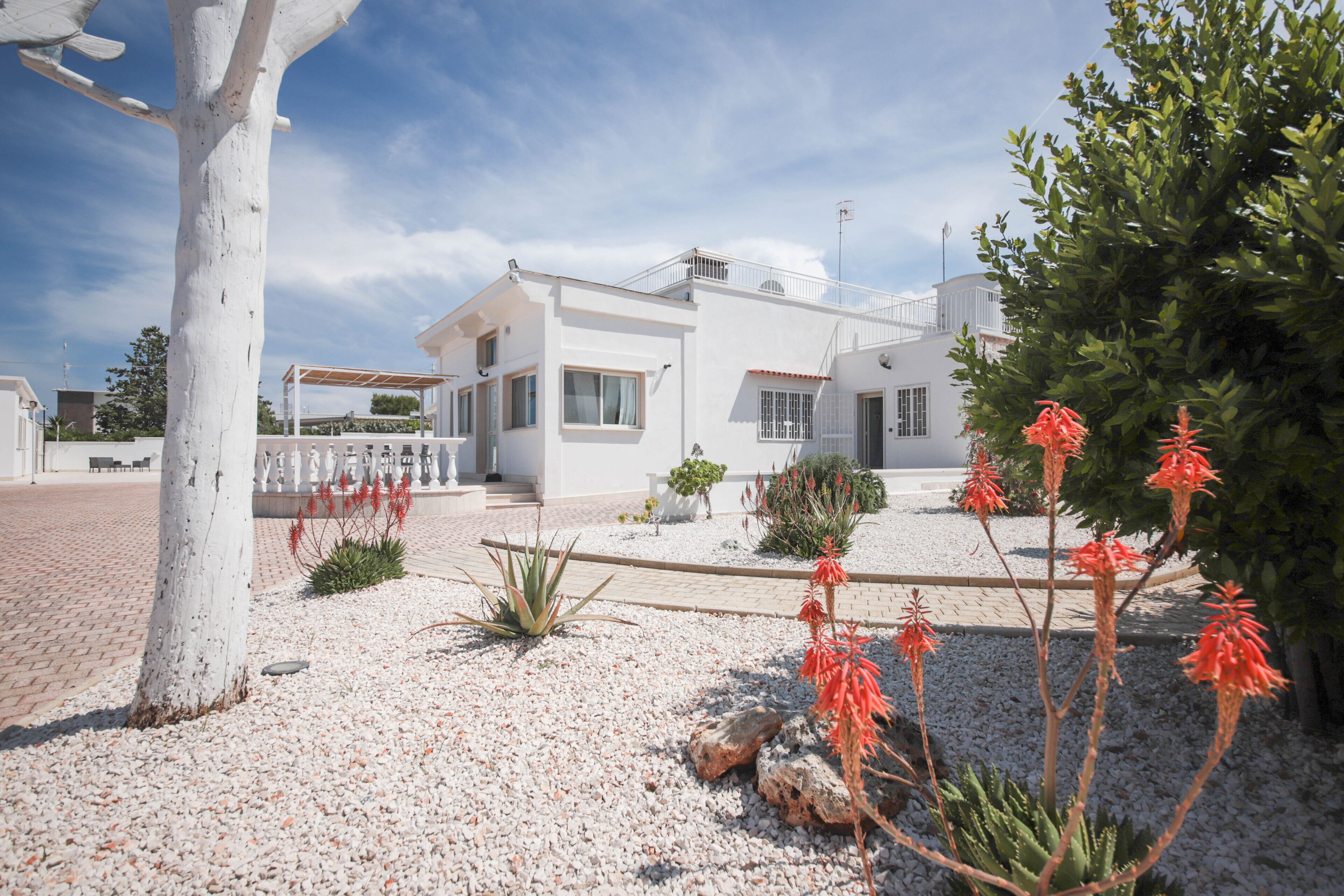 A modern white house with a paved driveway, surrounded by a gravel garden with red flowers and a white tree.