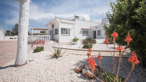 A modern white house with a paved driveway, surrounded by a gravel garden with red flowers and a white tree.