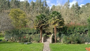 Ein gepflasterter Weg führt zu einem Garten mit einer Palme und einer Bank.