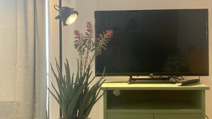 Una habitación con una televisión sobre un pedestal verde, una planta en maceta sobre una mesa de madera y una lámpara de pie.