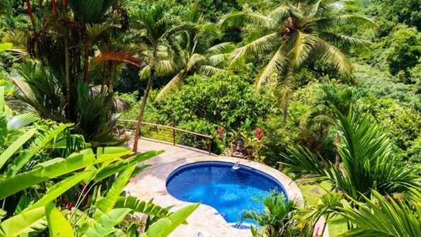A pool surrounded by lush greenery and palm trees, overlooking a dense forest and a distant coastline. - Private waterfall, Gated, Near Dominical (Quepos)
