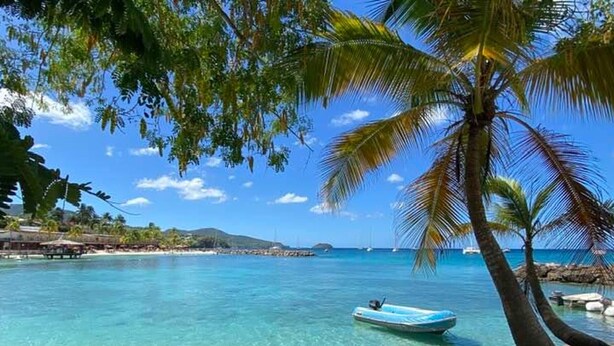 A clear turquoise sea with a small boat, a palm tree, and rocky shore.