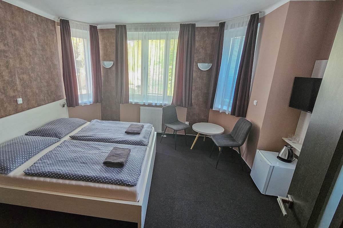 Une chambre d’hôtel avec un lit, une petite table, deux chaises, une télévision et une fenêtre avec des rideaux.