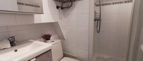 Ein Badezimmer mit Toilette, Waschbecken und Dusche.