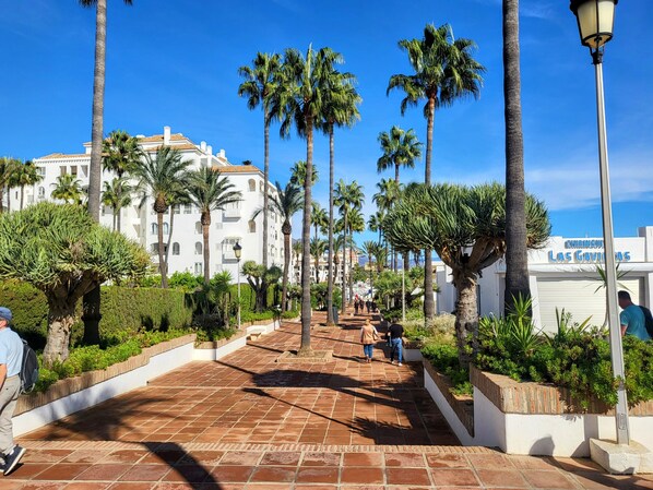 A paved walkway lined with palm trees and a white building with balconies.