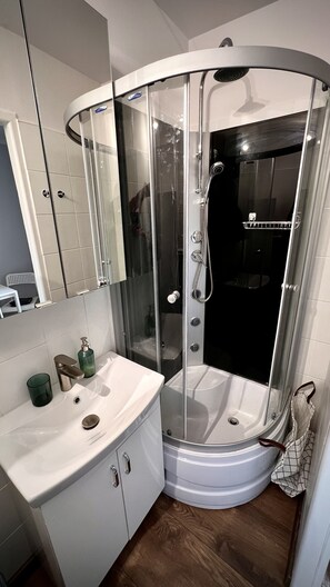 Regadera, secadora de cabello, toallas, jabón 