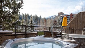 Un espace avec un bain à remous, bordé de pierres, entouré d’arbres couverts de neige et offrant une vue sur la montagne.