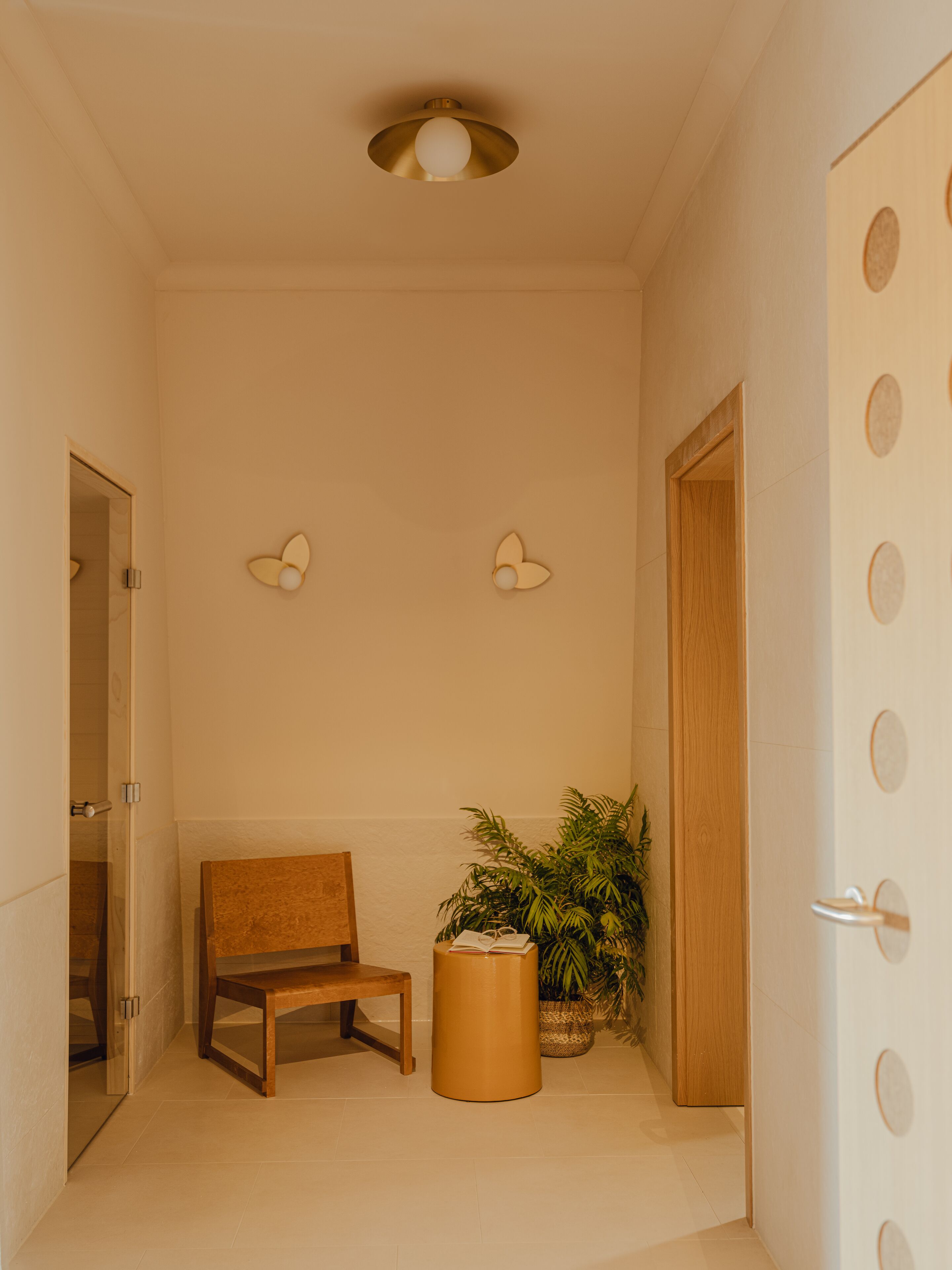 A hallway with a bench, a potted plant, and a door with circular cutouts.