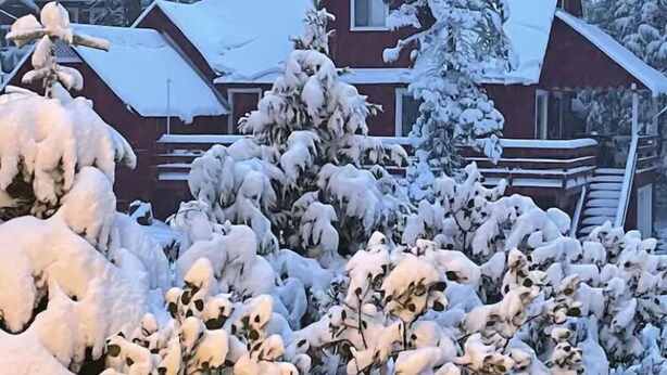 Eine schneebedeckte Lodge mit mehreren Hütten, umgeben von dichten Nadelbäumen.
