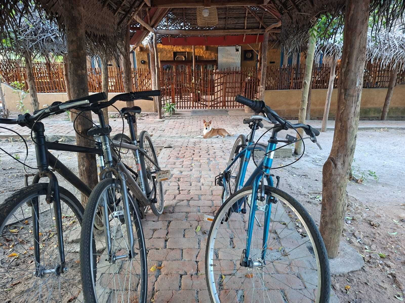 Bicycling