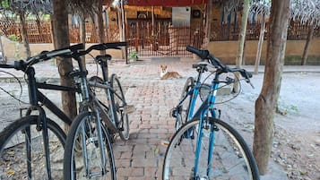 Bicycling