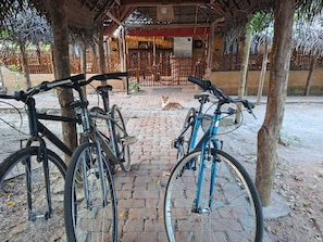 Vélo