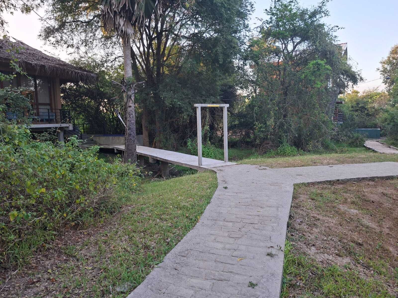 Garden view