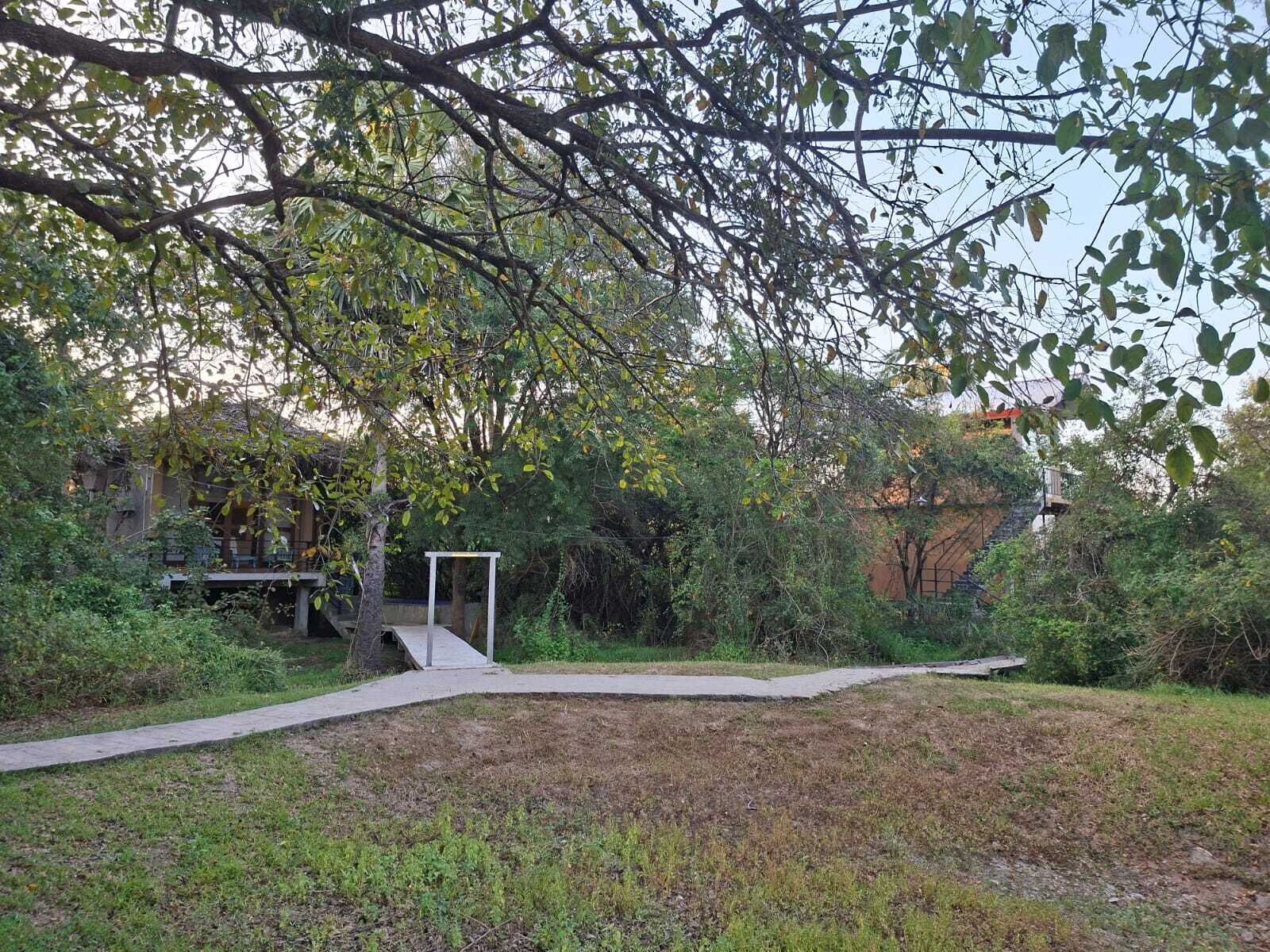 A garden with a concrete pathway leading to a white structure, surrounded by dense foliage and a building in the background.