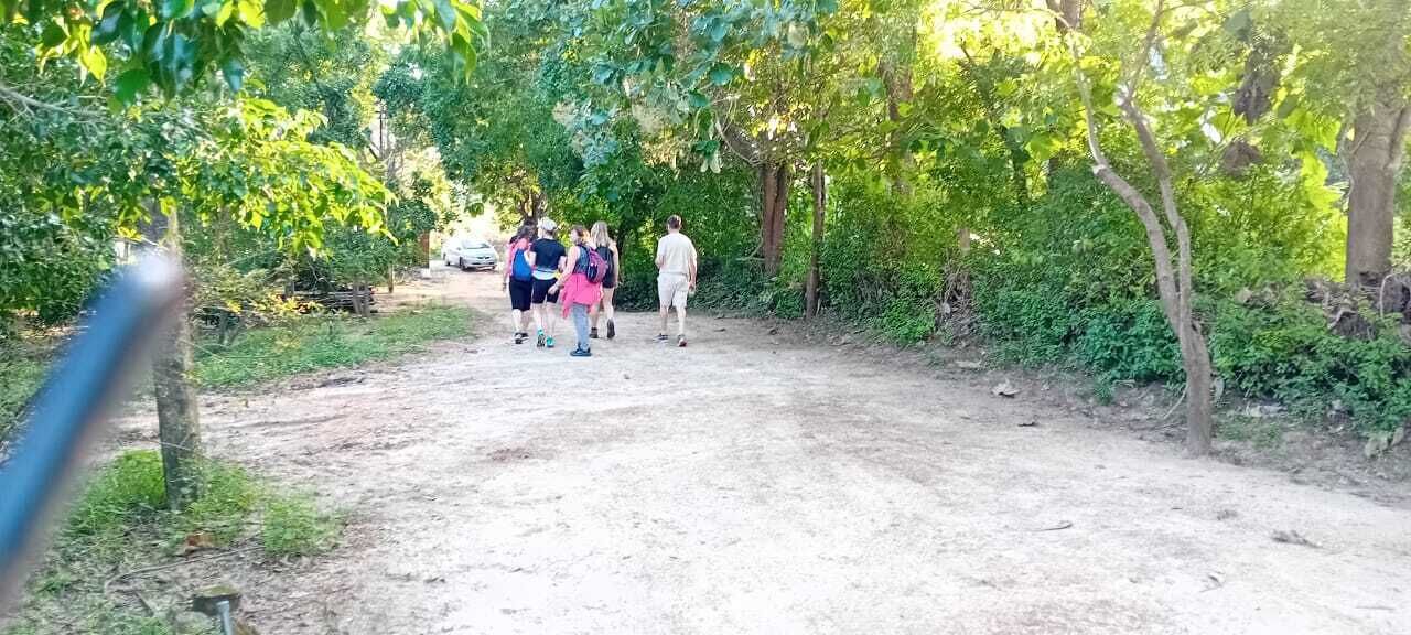A group of people walking on a dirt path surrounded by greenery.