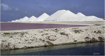 Caribbean Court Waterfront 2 Slaapkamer, 2 Badkamer Appartement Begane Grond