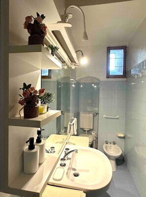 Shower, hair dryer, bidet, towels