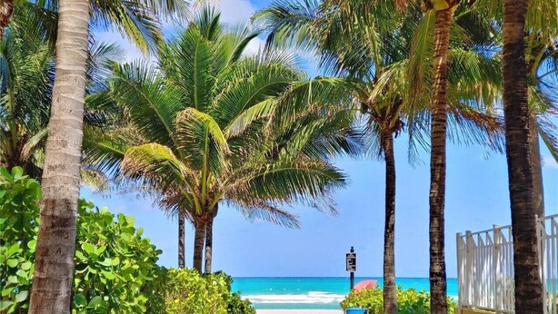 A pathway lined with palm trees leading to a beach. - le cartier sunny isles ocean paradise (Sunny Isles Beach)
