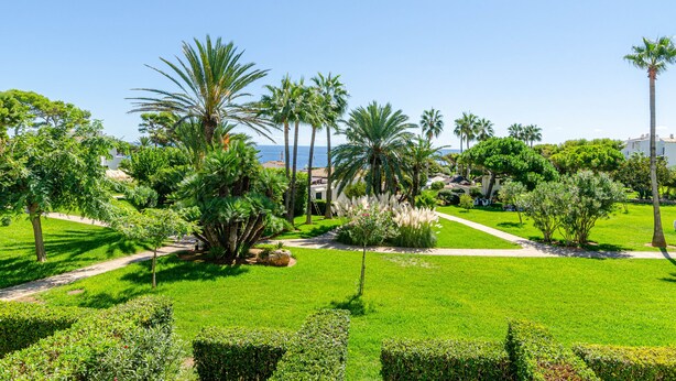 A lush garden with palm trees and a clear view of the sea. - Parque Mar Apartments (Santanyi)