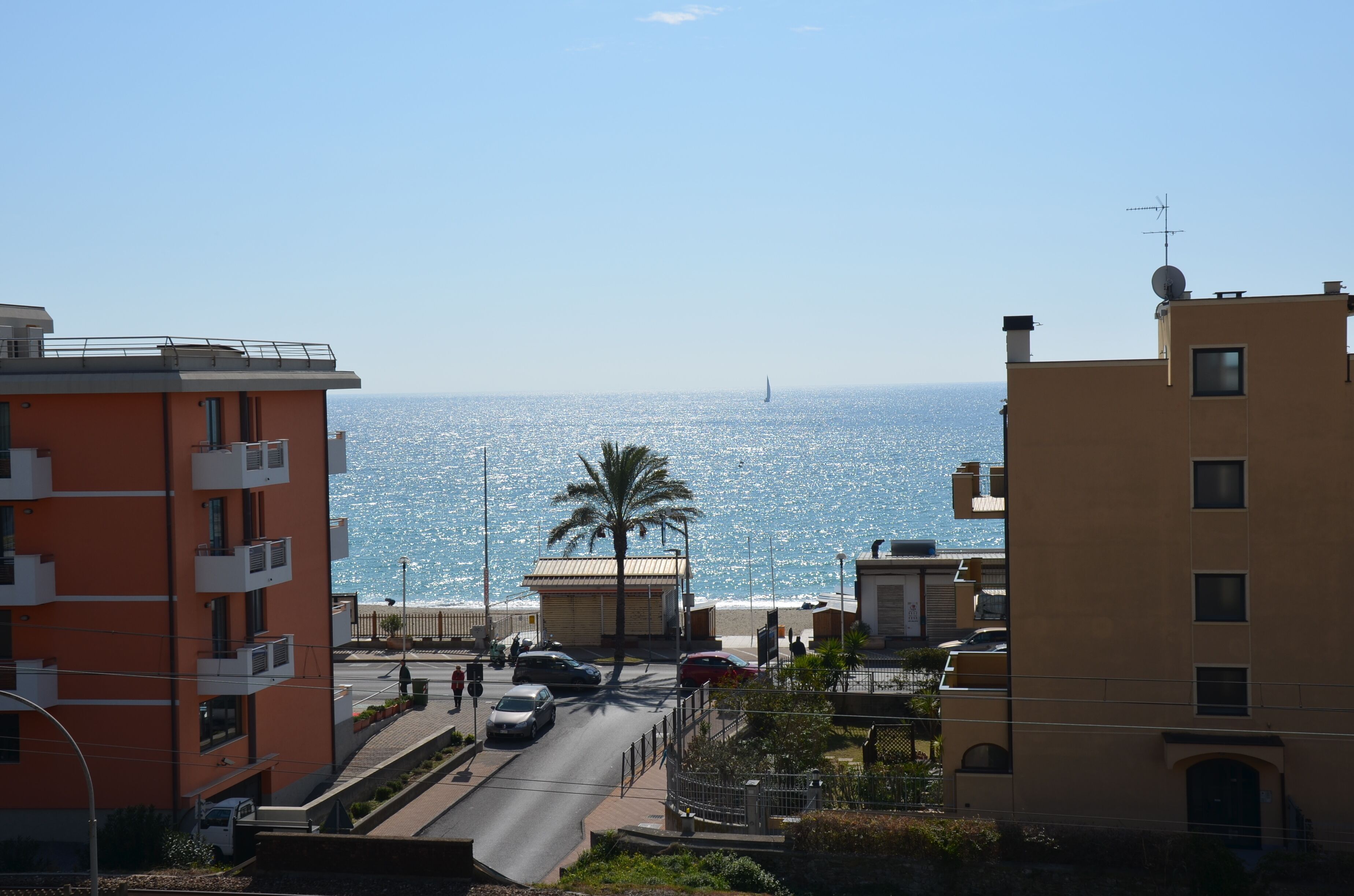 A coastal street with buildings, a palm tree, and a view of the sea.