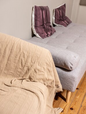 32-英寸LED 电视（配备数码频道）、Netflix、流媒体服务