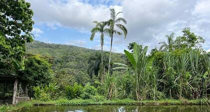 Hostal Ariantiy Rodeado de Selva, Fauna, Mariposas, Frutas del Putumayo y Rios