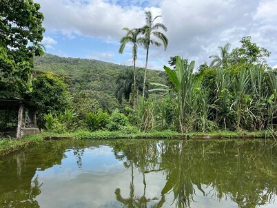 Hostal Ariantiy Rodeado de Selva, Fauna, Mariposas, Frutas del Putumayo y Rios