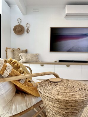 Télévision, cheminée, livres, chaîne hi-fi